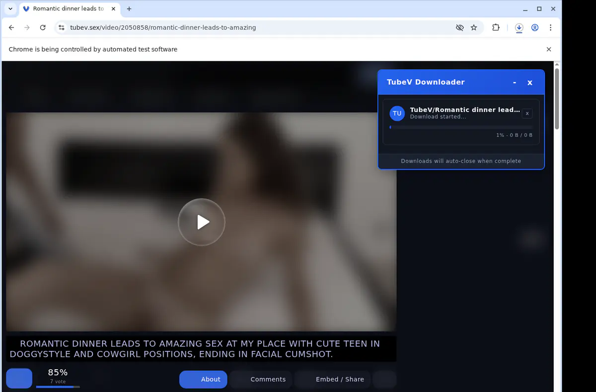 Tubev Video Downloader screenshot 2