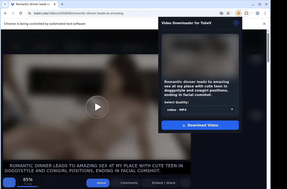 Tubev Video Downloader screenshot 3